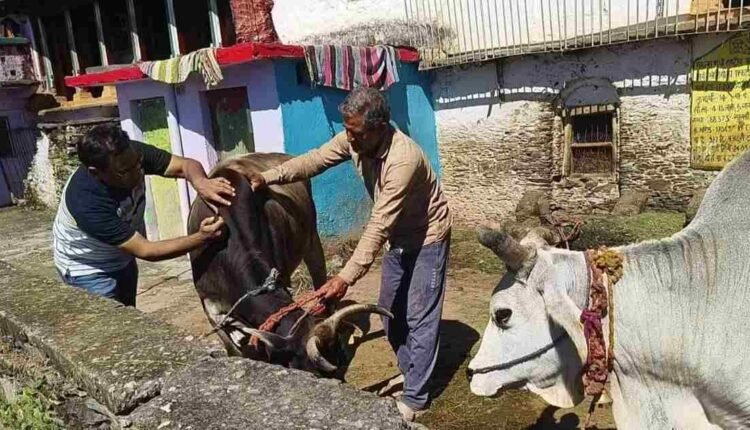 WhatsApp Image 2026-09-19 at 10.03.45 PM
